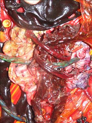 Political Bloodbath. Detail 2