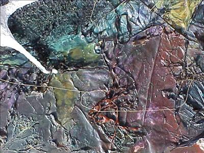 untitled 3 - Passion by Donna Southern, Giclee Print, Mixed Media on Canvas