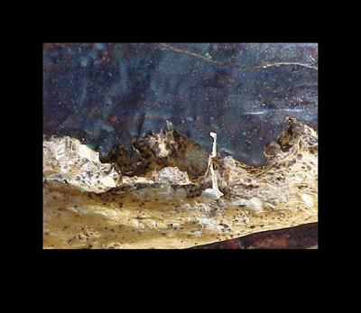 Wave - detail of Light and Dark by donnasouthernart - Painting  Mixed Media